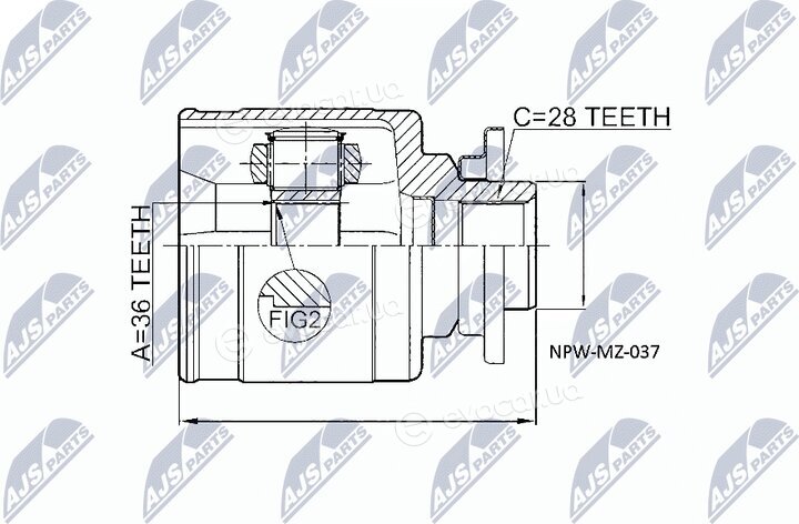 NTY NPW-MZ-037