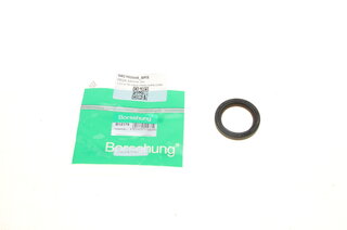 Borsehung B12179