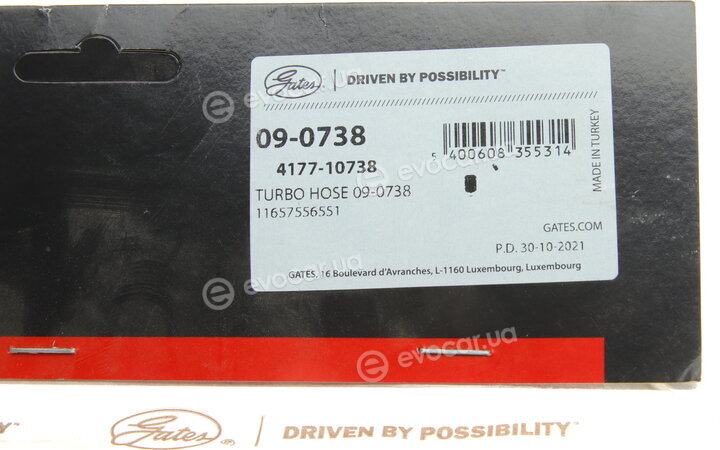 Gates 09-0738