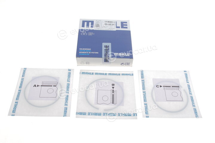 Mahle 029 55 N2