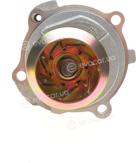 Hepu P572