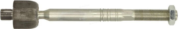 Reinhoch RH020031