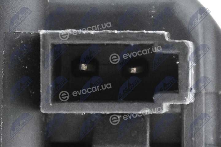 NTY EZC-PL-077