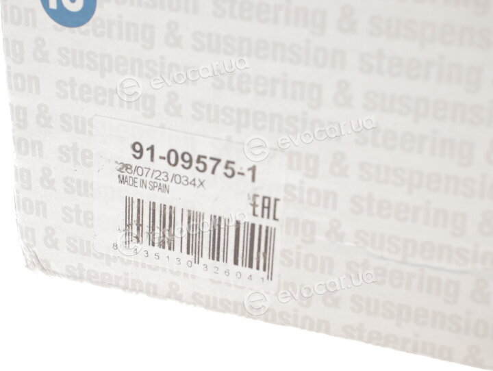RTS 91-09575-1
