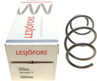 Lesjofors 4047008