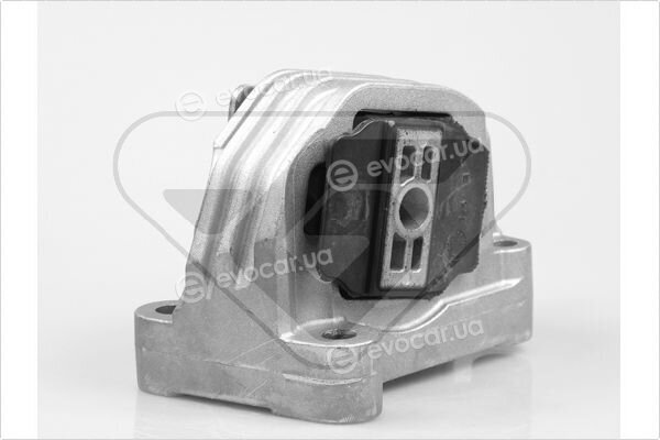 Hutchinson 532C69
