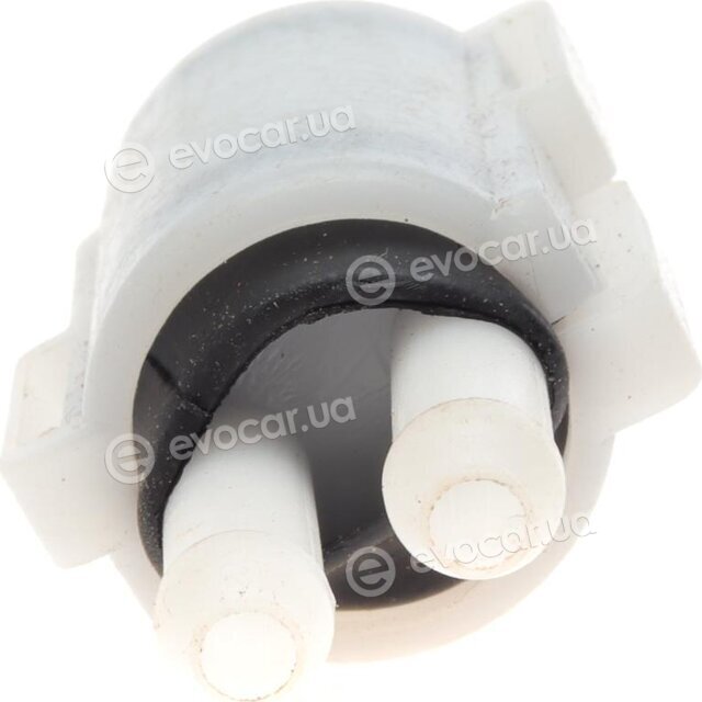 Solgy 307012