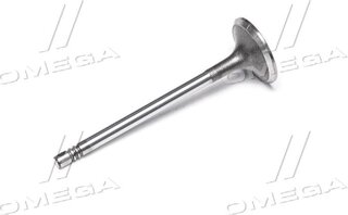 Gunes 4581