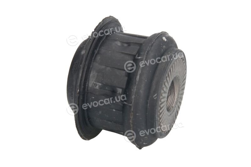 Reinhoch RH19-0003