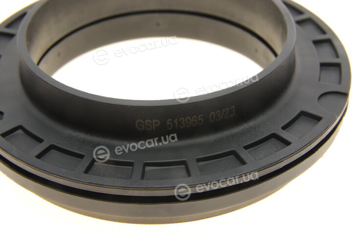 GSP 513965