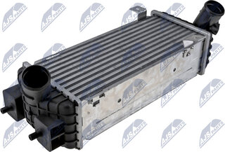 NTY CCL-HY-011