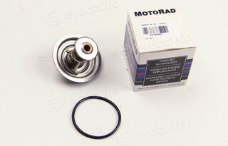 Motorad 372-82K