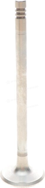 Mahle 081 VX 30895 100