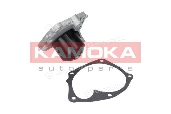 Kamoka T0205