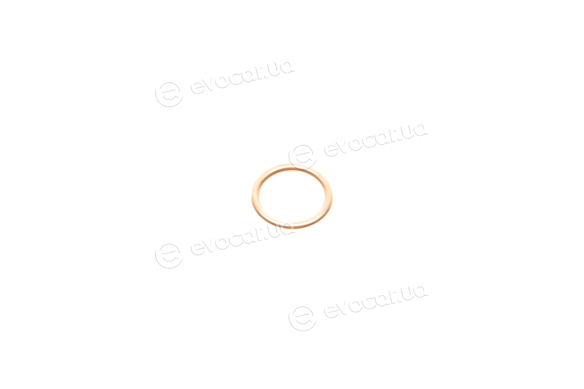 Elring 813.168