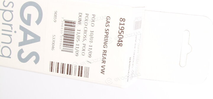 Lesjofors 8195048