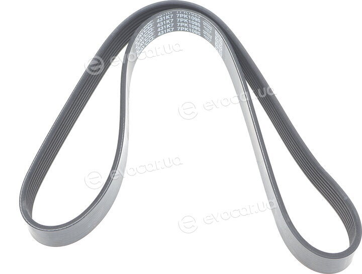 Dayco 7PK1095