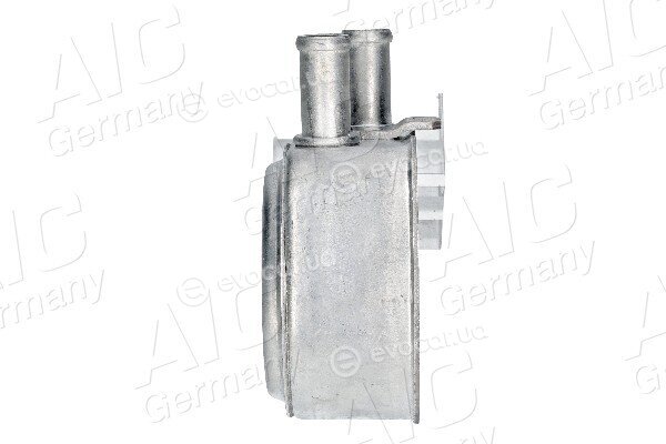 AIC 71955