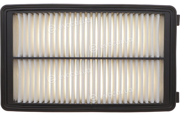 Solgy 103181