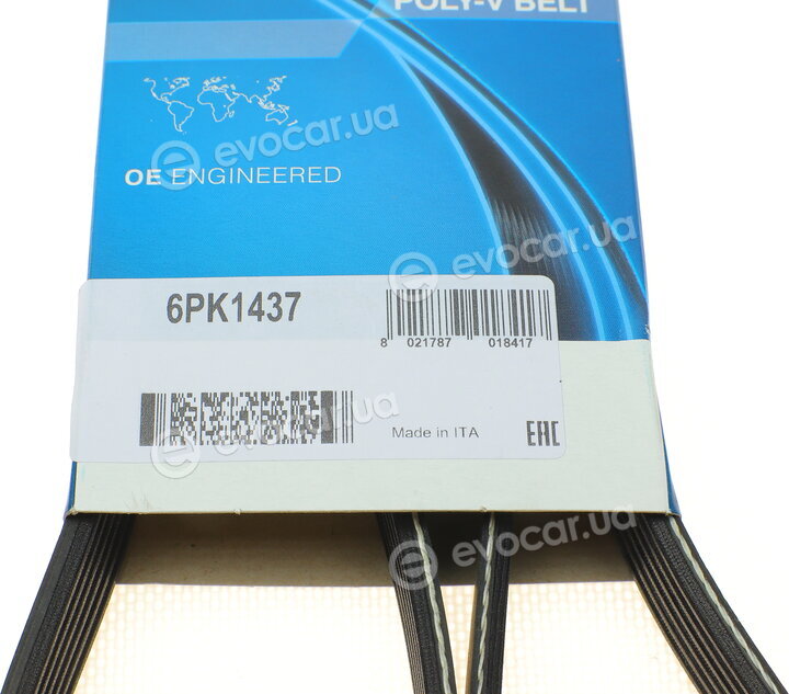Dayco 6PK1437