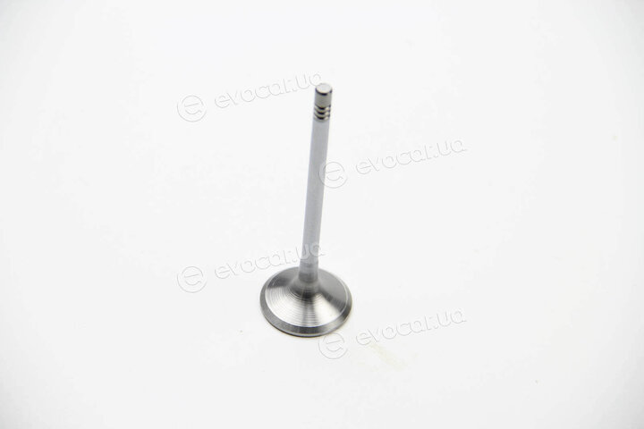 BGA V142049