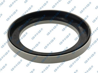 GSP 518987