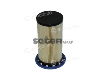 Fram C11497ECO