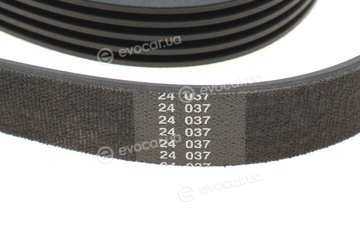 Hutchinson 1146 K 5