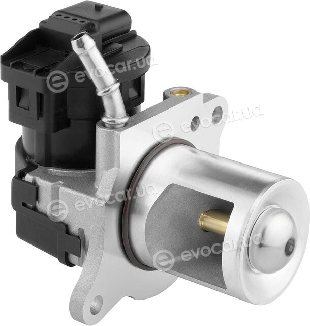 Wahler / BorgWarner 710095D/1