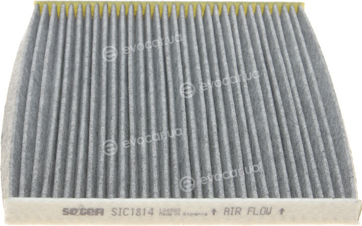 Purflux AHC244