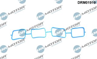 Dr. Motor DRM01919