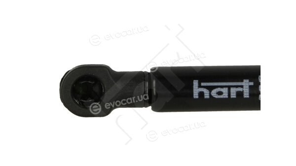 Hart 811 229