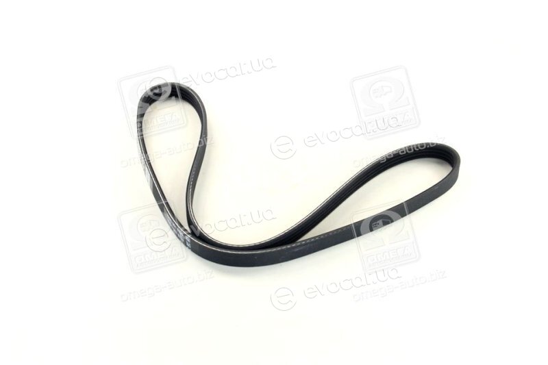 Dayco 4PK954