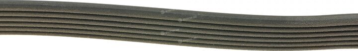 Dayco 6PK1355