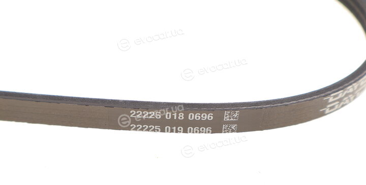 Dayco 3PK700