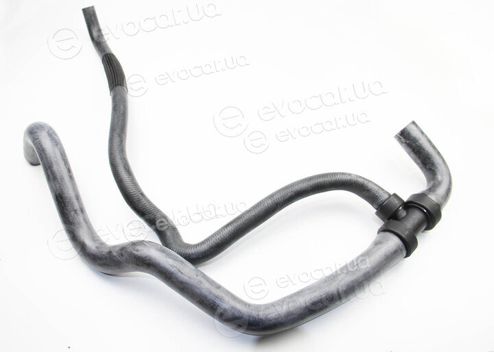 Rapro R12531