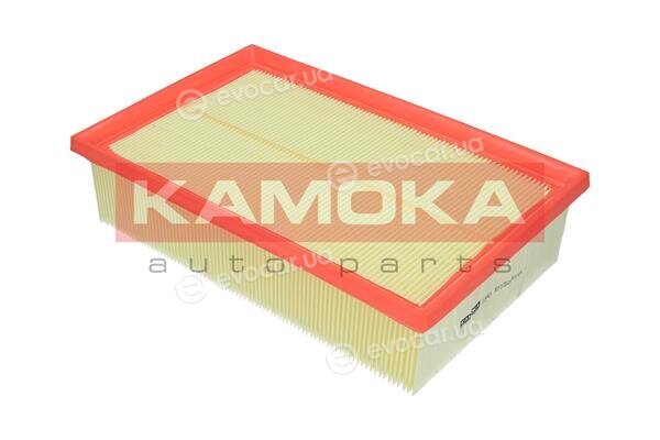 Kamoka F229901