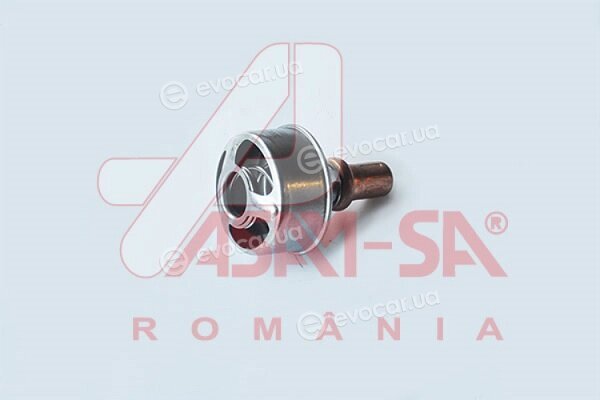Asam 32677