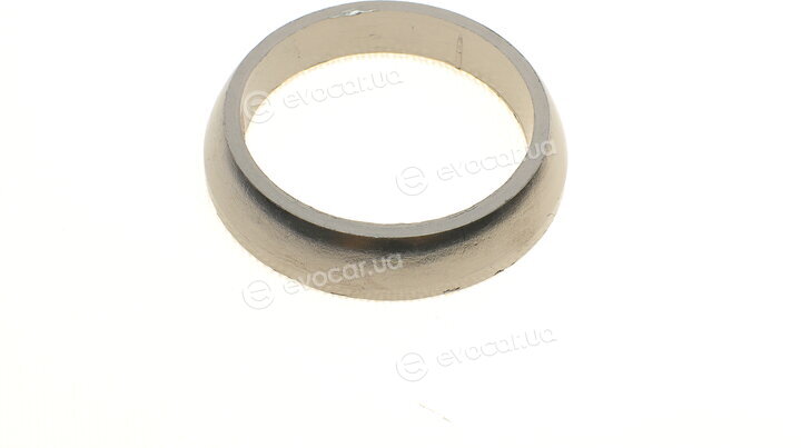 Elring 308.520
