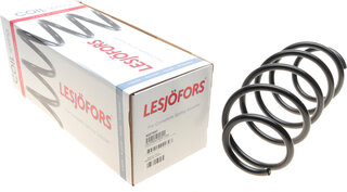 Lesjofors 4027597