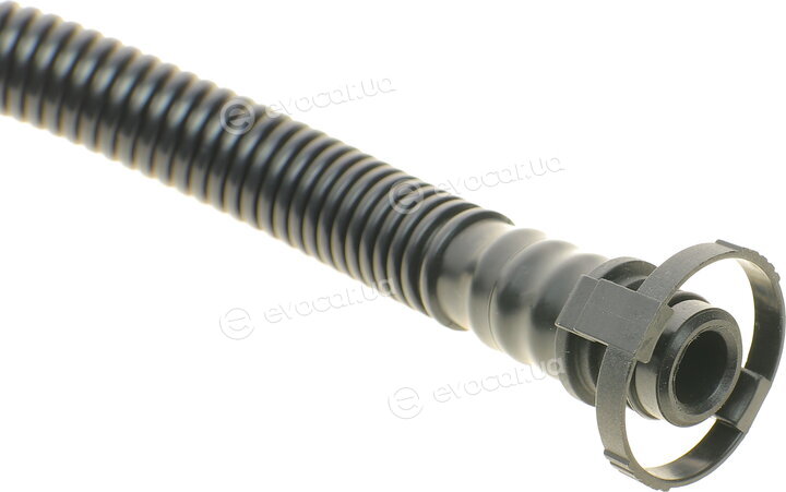 AIC 55033