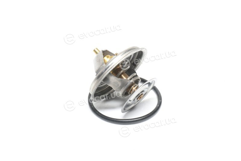 Wahler / BorgWarner 4163.79D