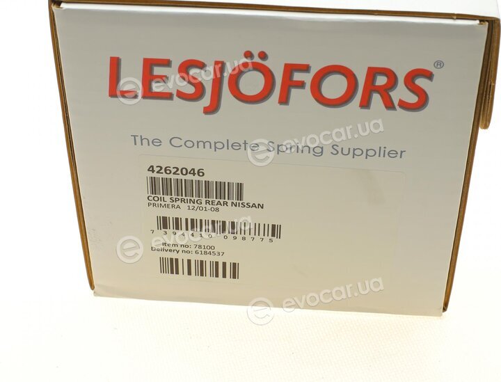 Lesjofors 4262046