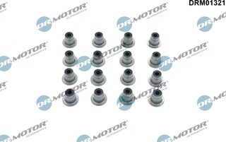 Dr. Motor DRM01321