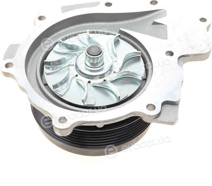 Hepu P1549