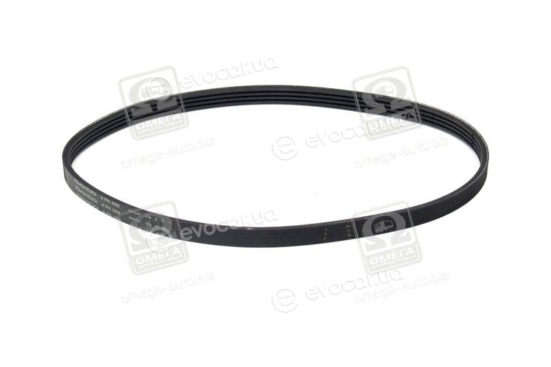 Dayco 4PK698