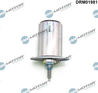 Dr. Motor DRM01981