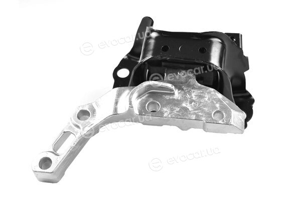 Tedgum TED53516