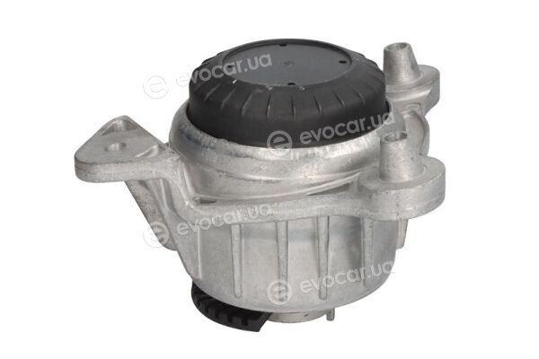 Reinhoch RH11-3129