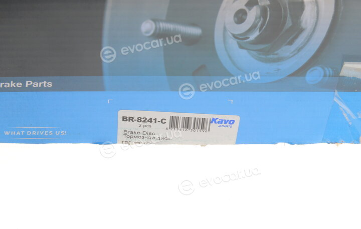 Kavo BR-8241-C